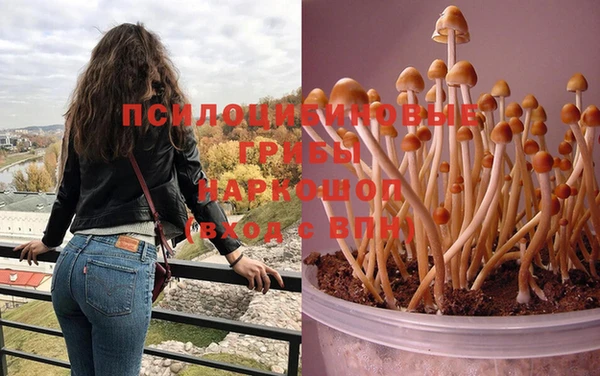 прущая мука Аркадак